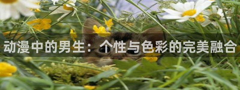 午夜久久动漫：动漫中的男生：个性与色彩的完美融合
